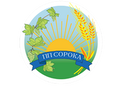 ФОП Сорока Ігор Федорович
